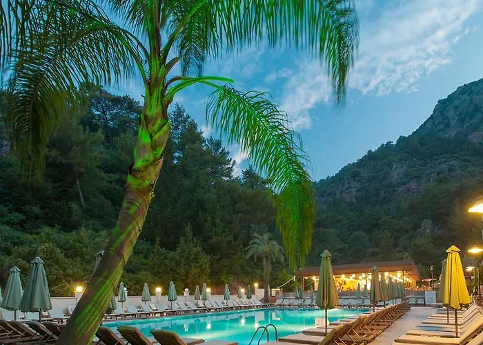 Hotell Julian Forest