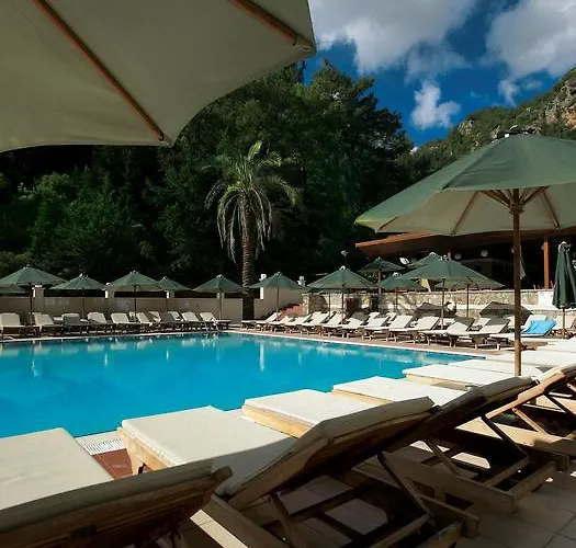 Ξενοδοχείο Julian Forest 4*