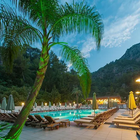 Hotell Julian Forest