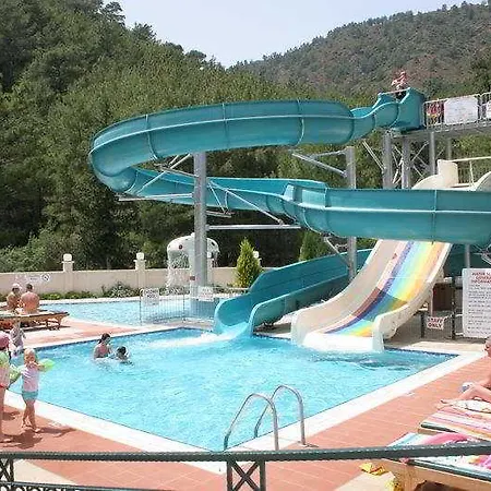 Julian Forest مرمريس